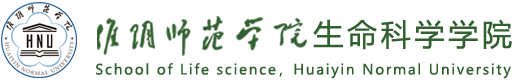 澳门十大赌博老品牌网站